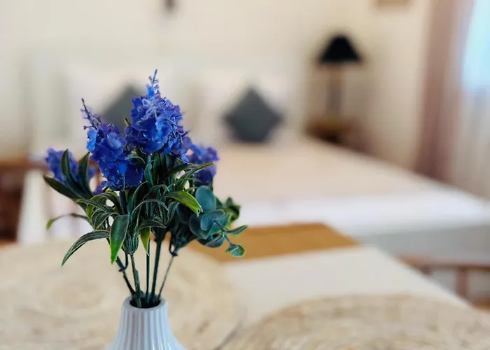 Apartamento Nika *